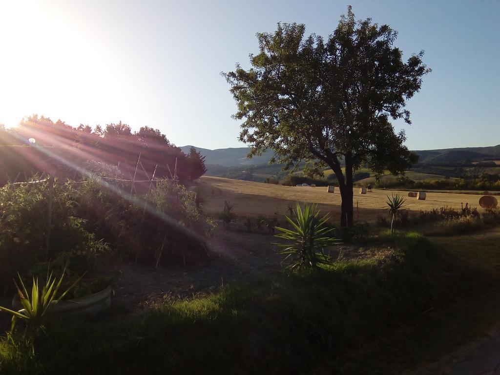 Carlo'S Country House Castellina Marittima Kültér fotó
