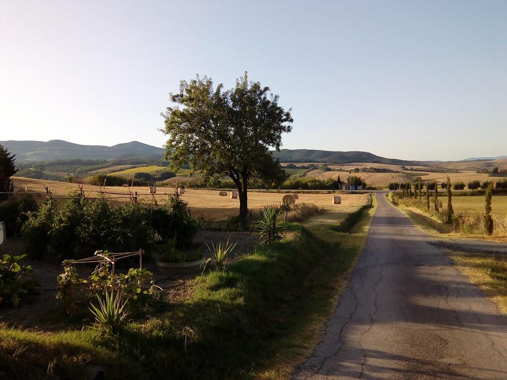 Carlo'S Country House Castellina Marittima Kültér fotó